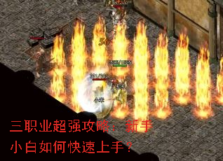 ��ְҵ��ǿ���ԣ�����С����ο������֣�