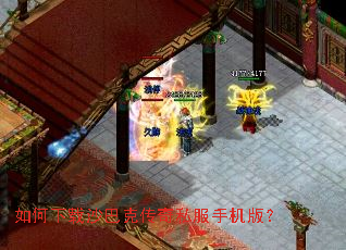 �������ɳ�Ϳ˴���˽���ֻ��棿