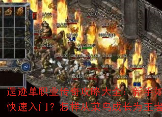 �ż���ְҵ���湥�Դ�ȫ��������ο������ţ������Ӳ���ɳ�Ϊ���ߣ�