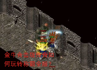 ��ţ�ϻ��洫�������ת�ư�ȫ����