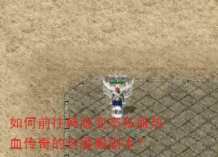 如何前往韩版变态私服热血传奇的封魔殿副本? 如何前往韩版变态私服热血传奇的封魔殿副本?