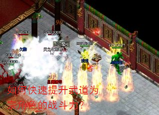 如何快速提升武道为宗角色的战斗力? 如何快速提升武道为宗角色的战斗力?