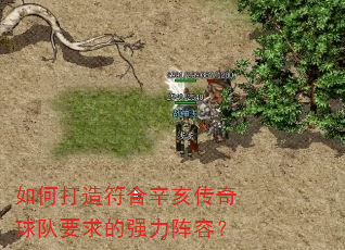 如何打造符合辛亥传奇球队要求的强力阵容? 如何打造符合辛亥传奇球队要求的强力阵容?