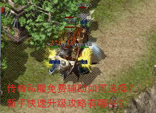 传奇私服免费辅助如何选择?新手快速升级攻略有哪些? 传奇私服免费辅助如何选择?新手快速升级攻略有哪些?