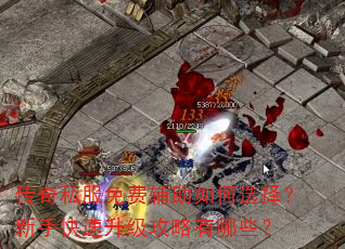 传奇私服免费辅助如何选择?新手快速升级攻略有哪些? 传奇私服免费辅助如何选择?新手快速升级攻略有哪些?