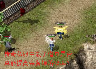 传奇私服中骰子道具是否真能提高装备掉落概率? 传奇私服中骰子道具是否真能提高装备掉落概率?