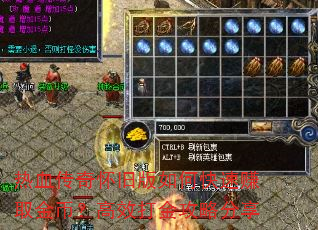 热血传奇怀旧版如何快速赚取金币?高效打金攻略分享 热血传奇怀旧版如何快速赚取金币?高效打金攻略分享