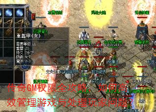 传奇GM权限全攻略,如何高效管理游戏与处理玩家问题? 传奇GM权限全攻略,如何高效管理游戏与处理玩家问题?