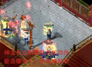 神龙合击刺客最强被动技能选哪两个?求攻略解析 神龙合击刺客最强被动技能选哪两个?求攻略解析