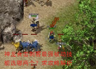 神龙合击刺客最强被动技能选哪两个?求攻略解析 神龙合击刺客最强被动技能选哪两个?求攻略解析