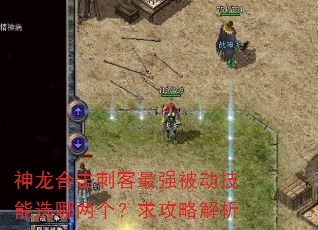 神龙合击刺客最强被动技能选哪两个?求攻略解析 神龙合击刺客最强被动技能选哪两个?求攻略解析