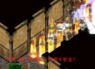白日门鹰卫是否属于弓箭手职业? 白日门鹰卫是否属于弓箭手职业?