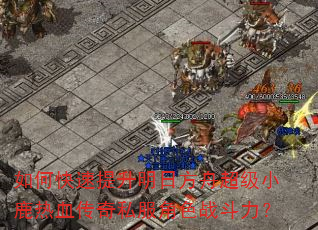 如何快速提升明日方舟超级小鹿热血传奇私服角色战斗力? 如何快速提升明日方舟超级小鹿热血传奇私服角色战斗力?