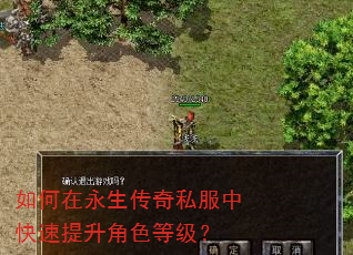 如何在永生传奇私服中快速提升角色等级? 如何在永生传奇私服中快速提升角色等级?
