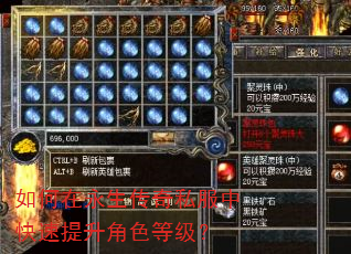 如何在永生传奇私服中快速提升角色等级? 如何在永生传奇私服中快速提升角色等级?