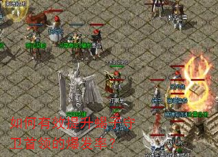 如何有效提升蝎子守卫首领的爆发率? 如何有效提升蝎子守卫首领的爆发率?