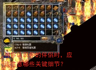 当你认识你的伴侣时,应该注意哪些关键细节? 当你认识你的伴侣时,应该注意哪些关键细节?