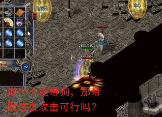 道士不能带狗,那带骷髅去攻击可行吗? 道士不能带狗,那带骷髅去攻击可行吗?