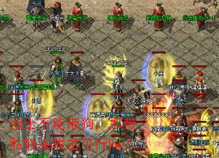 道士不能带狗,那带骷髅去攻击可行吗? 道士不能带狗,那带骷髅去攻击可行吗?