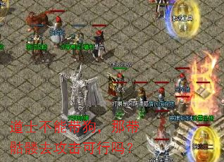 道士不能带狗,那带骷髅去攻击可行吗? 道士不能带狗,那带骷髅去攻击可行吗?