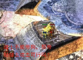 道士不能带狗,那带骷髅去攻击可行吗? 道士不能带狗,那带骷髅去攻击可行吗?