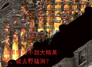 如果你抓不到大精英怪,就去野猪洞? 如果你抓不到大精英怪,就去野猪洞?