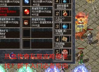 ��Ѫ����˽�����������ң��������űر�ָ��