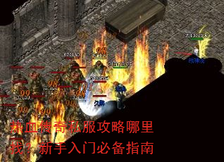 ��Ѫ����˽�����������ң��������űر�ָ��