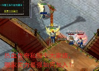 ��Ѫ����˽��ʮ����壬�ļ�ʵ����ǿ��μ��룿