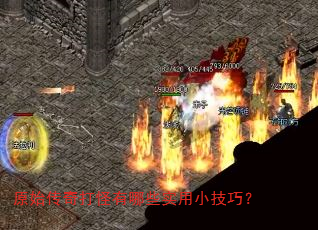 ԭʼ����������Щʵ��С���ɣ�
