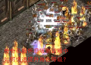 传奇私服怀旧版测试服中如何快速提升角色等级? 传奇私服怀旧版测试服中如何快速提升角色等级?
