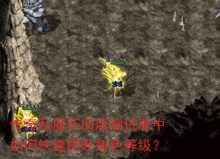 传奇私服怀旧版测试服中如何快速提升角色等级? 传奇私服怀旧版测试服中如何快速提升角色等级?