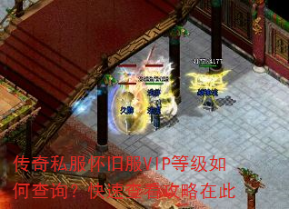 ����˽�����ɷ�VIP�ȼ���β�ѯ�����ٲ鿴�����ڴ�