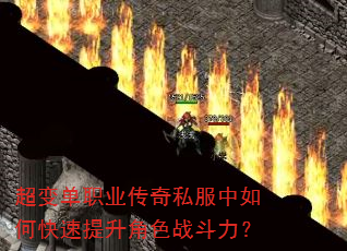 ���䵥ְҵ����˽������ο���������ɫս������