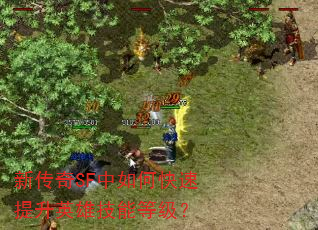新传奇SF中如何快速提升英雄技能等级? 新传奇SF中如何快速提升英雄技能等级?