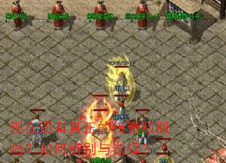 现在还有真正的传奇私服吗?如何辨别与选择? 现在还有真正的传奇私服吗?如何辨别与选择?