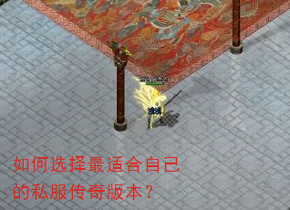���ѡ�����ʺ��Լ���˽������汾��