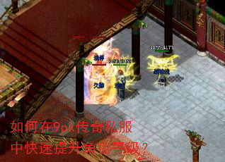 �����9pk����˽���п���������ɫ�ȼ���