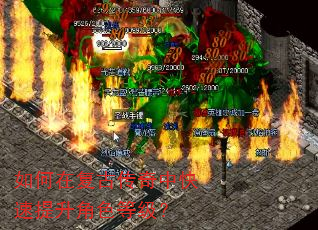 ����ڸ��Ŵ����п���������ɫ�ȼ���