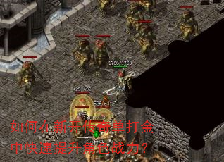 ������¿����浥����п���������ɫս����