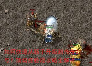 如何快速从新手升级到传奇封号?顶级经验段攻略全解析 如何快速从新手升级到传奇封号?顶级经验段攻略全解析