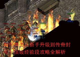 ��ο��ٴ����������������ţ���������ι���ȫ����
